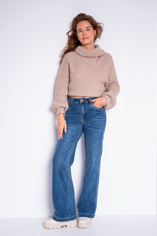 The Classic Stretch Jeans- Bleu